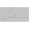 Msi Calacatta Gold SAMPLE Polished Marble Floor And Wall Tile ZOR-NS-0053-SAM